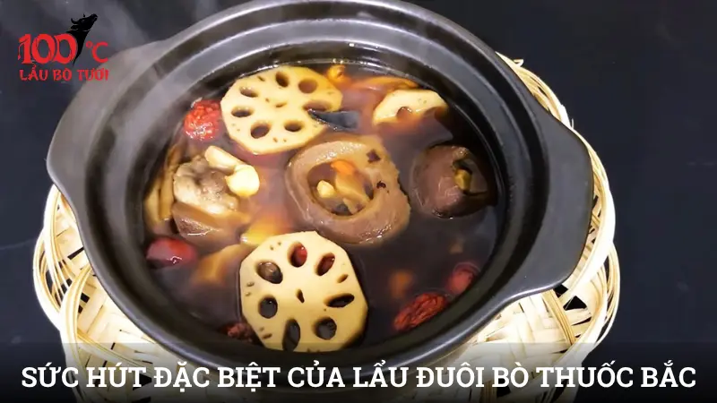 Sức hút đặc biệt của lẩu đuôi bò thuốc bắc
