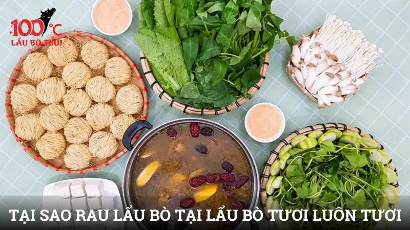 Tại sao rau lẩu bò tại Lẩu Bò Tươi luôn tươi ngon mỗi ngày?