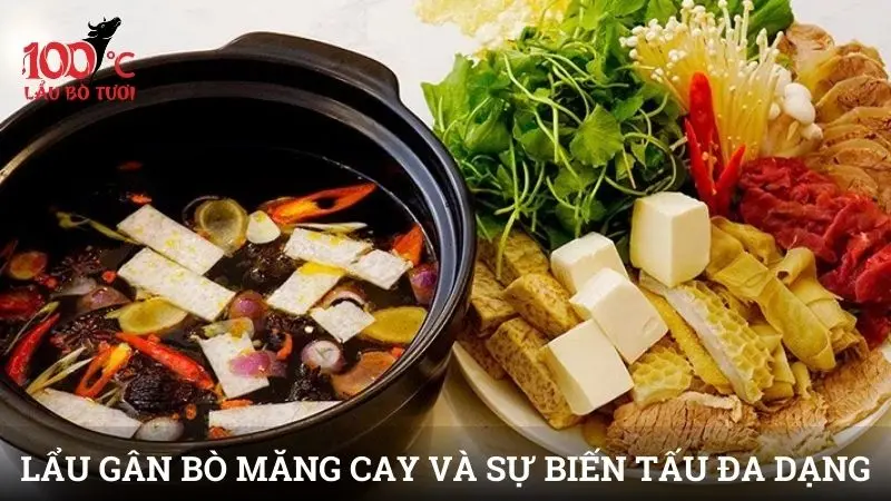 Lẩu gân bò măng cay và sự biến tấu đa dạng