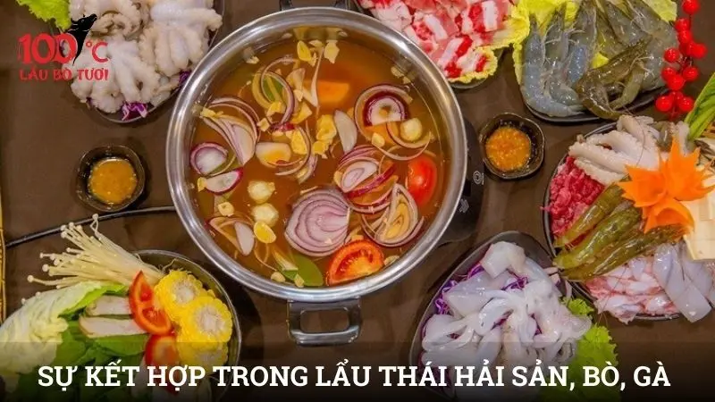 Sự kết hợp nguyên liệu trong lẩu Thái hải sản, bò, gà