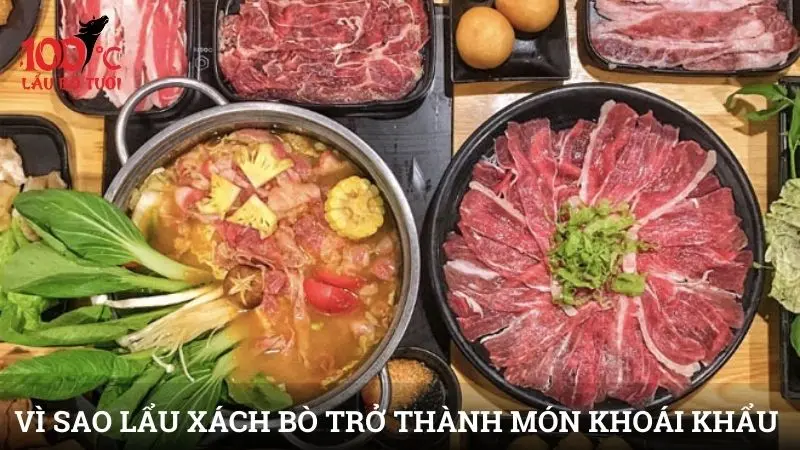 Vì sao lẩu xách bò trở thành món khoái khẩu của nhiều người