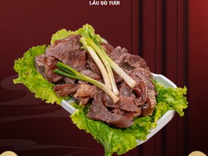 Gân bò