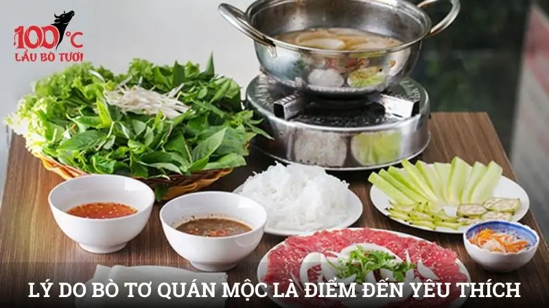 Lý do bò Tơ Quán Mộc trở thành điểm đến yêu thích