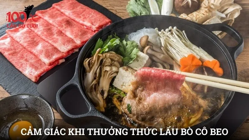 Cảm giác khi thưởng thức lẩu bò Cô Beo