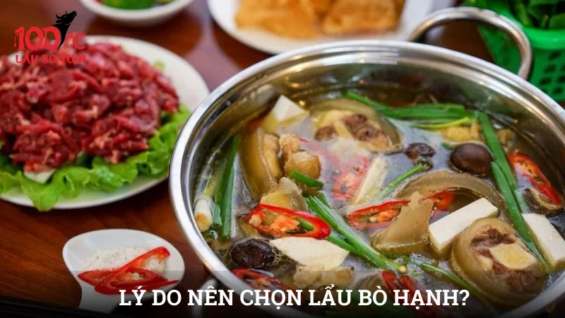 Lý do nên chọn lẩu bò Hạnh?