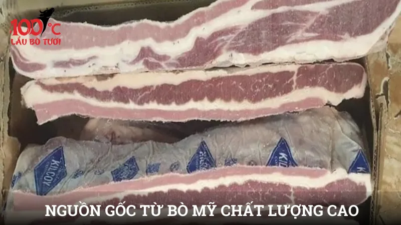 Nguồn gốc từ bò Mỹ chất lượng cao
