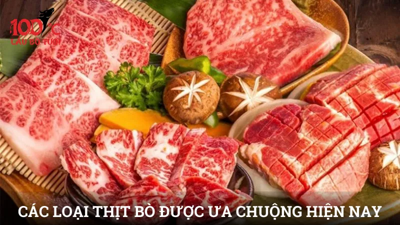 Các loại thịt bò được ưa chuộng hiện nay